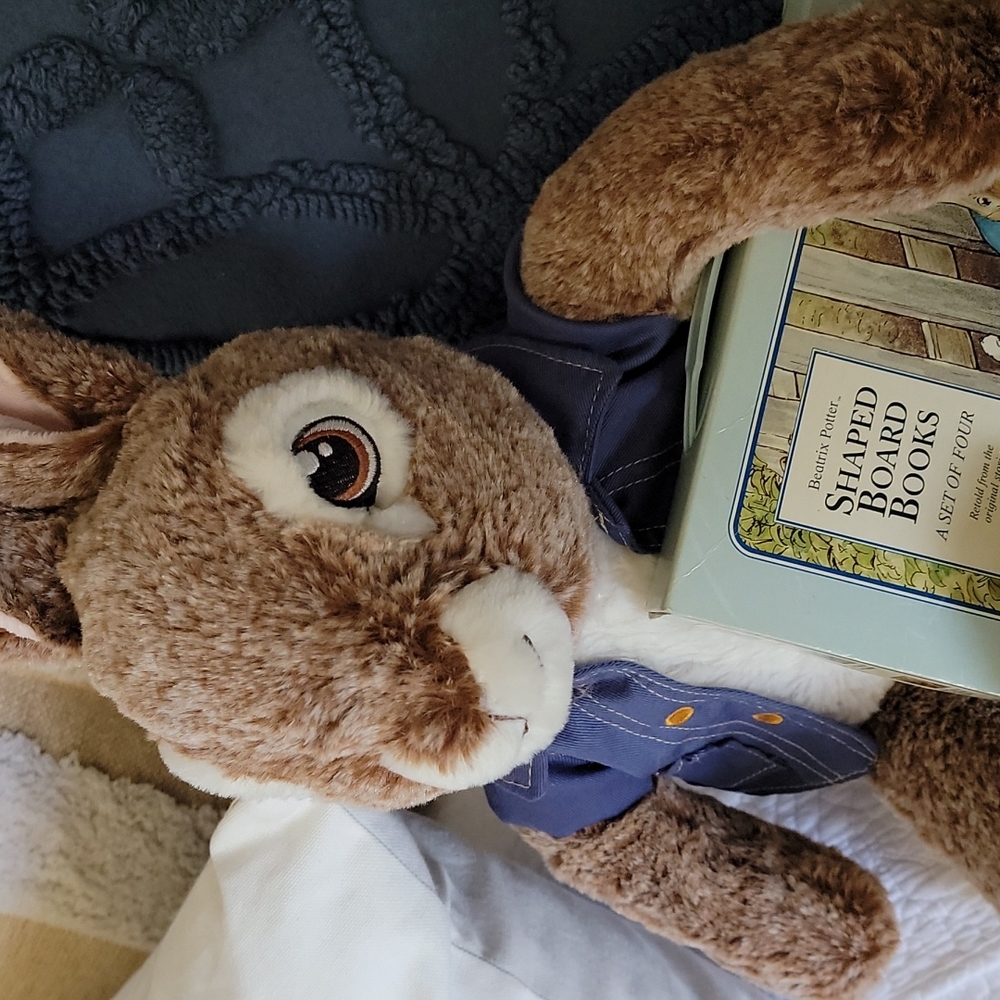 Peter Rabbit Set - Picture 3 of 15